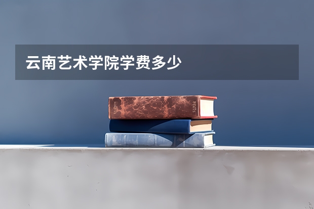 云南艺术学院学费多少
