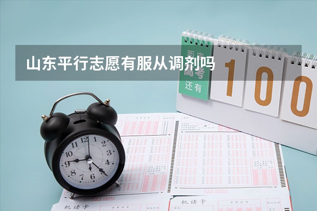 山东平行志愿有服从调剂吗