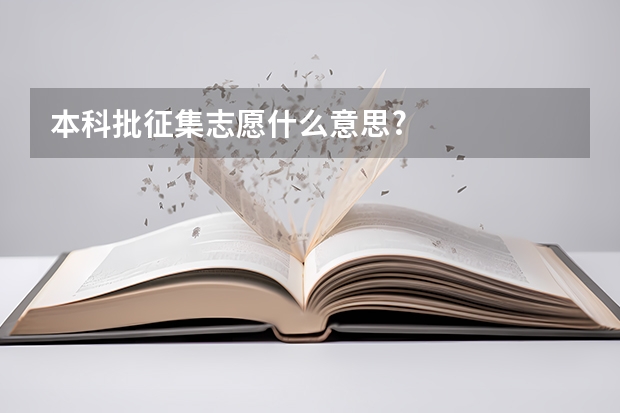 本科批征集志愿什么意思?