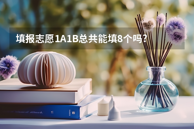 填报志愿1A1B总共能填8个吗?