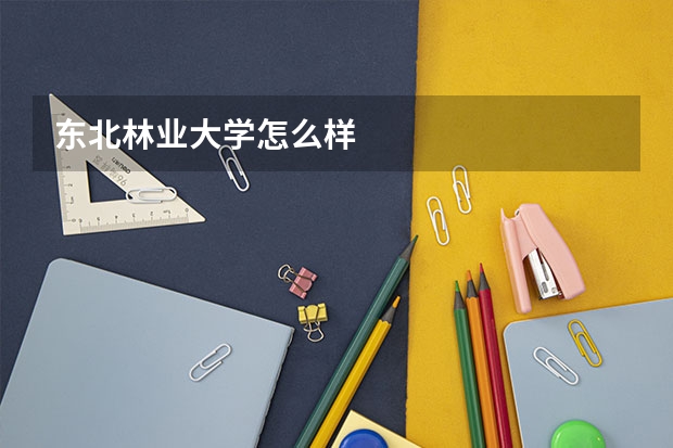 东北林业大学怎么样
