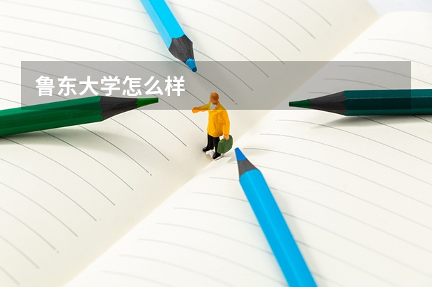 鲁东大学怎么样