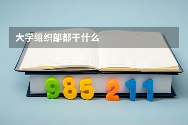 大学组织部都干什么