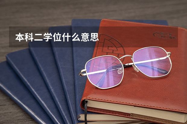 本科二学位什么意思