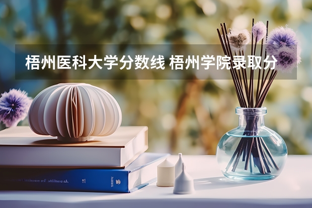 梧州医科大学分数线 梧州学院录取分数线