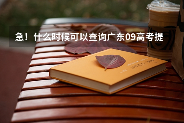 急！什么时候可以查询广东09高考提前批是否被录取