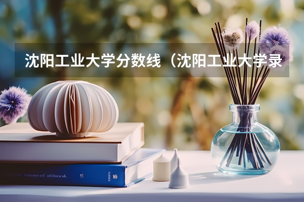 沈阳工业大学分数线（沈阳工业大学录取分数线）