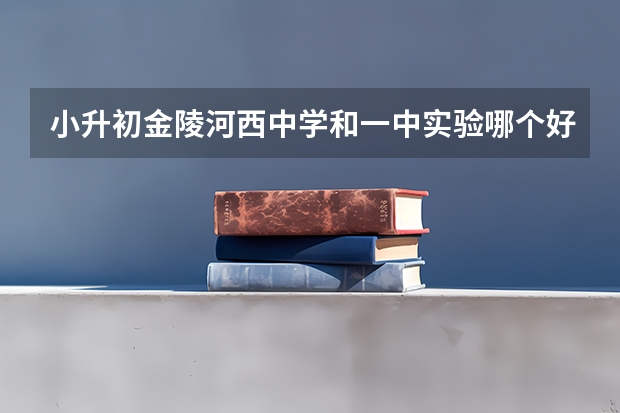 小升初金陵河西中学和一中实验哪个好