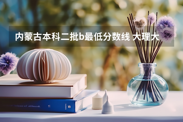 内蒙古本科二批b最低分数线 大理大学录取分数线