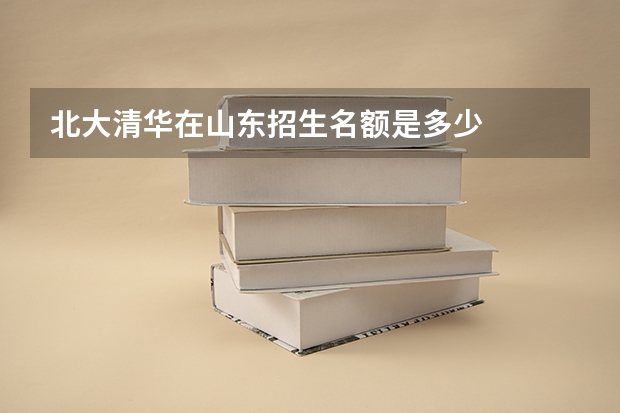 北大清华在山东招生名额是多少