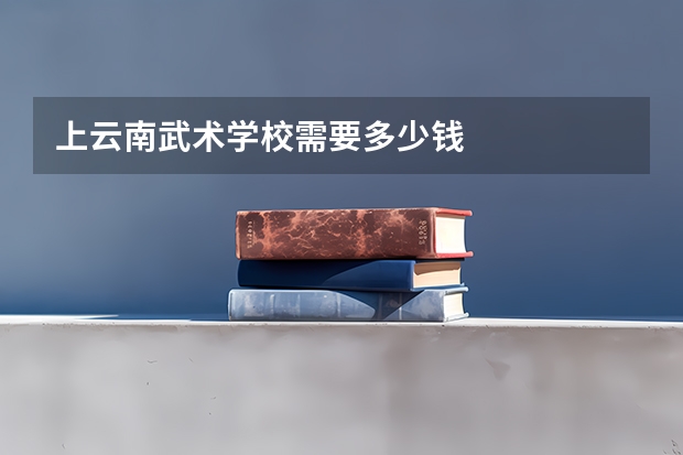 上云南武术学校需要多少钱