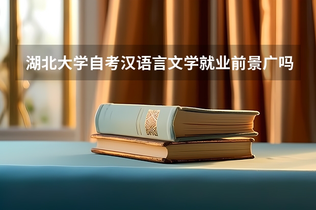 湖北大学自考汉语言文学就业前景广吗