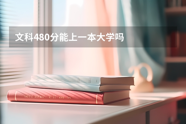 文科480分能上一本大学吗
