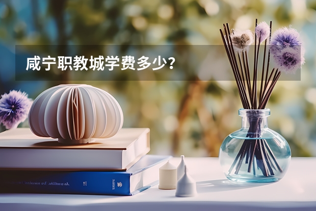 咸宁职教城学费多少？