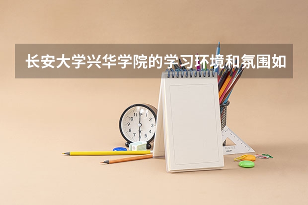 长安大学兴华学院的学习环境和氛围如何？