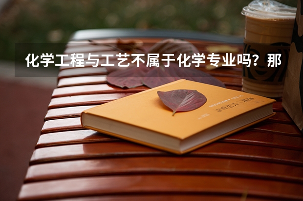 化学工程与工艺不属于化学专业吗？那属于哪一类？（真心提问，真心回答，谢谢各位）