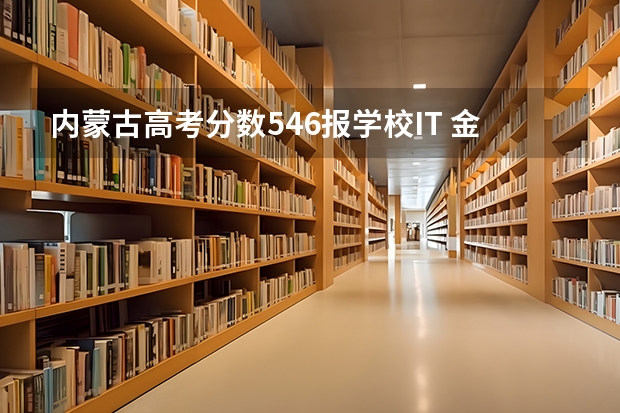 内蒙古高考分数546报学校IT 金融 自动化管理分别报什么学校比较好？
