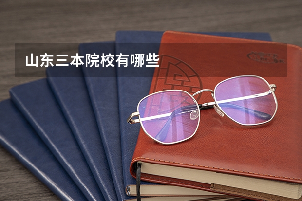 山东三本院校有哪些