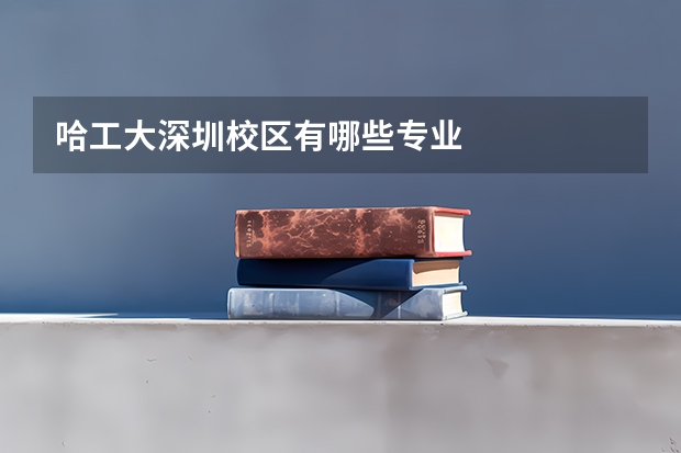 哈工大深圳校区有哪些专业